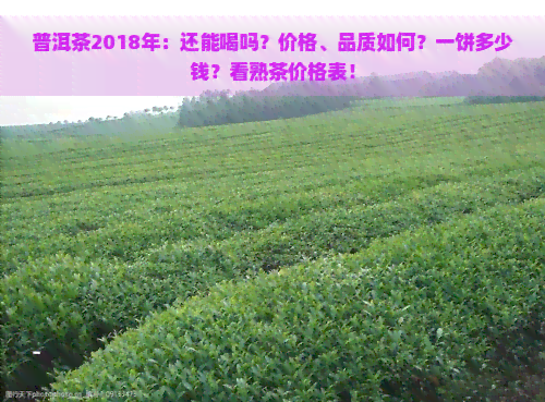 普洱茶2018年：还能喝吗？价格、品质如何？一饼多少钱？看熟茶价格表！