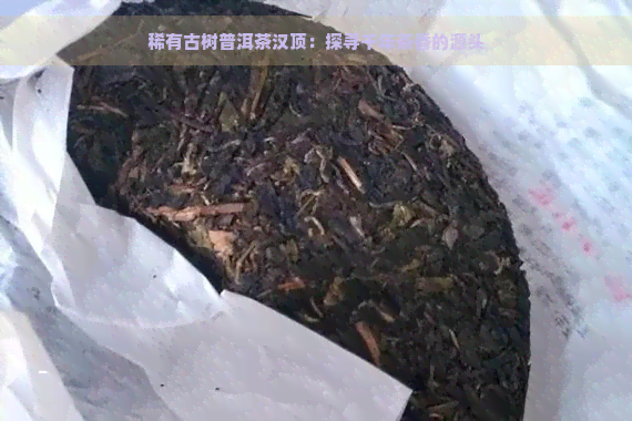 稀有古树普洱茶汉顶：探寻千年茶香的源头