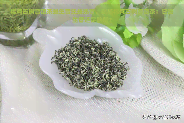 稀有古树普洱茶是生普还是熟普，揭秘稀有古树普洱茶：它是生普还是熟普？