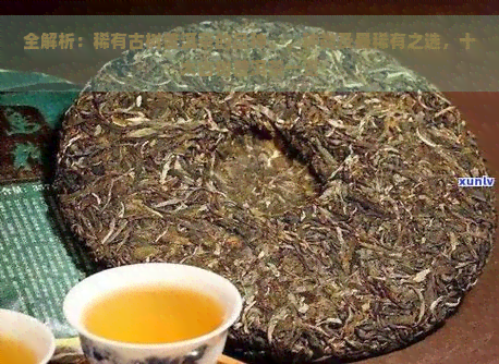 全解析：稀有古树普洱茶的品种、、种类及最稀有之选，十大古树普洱茶一览