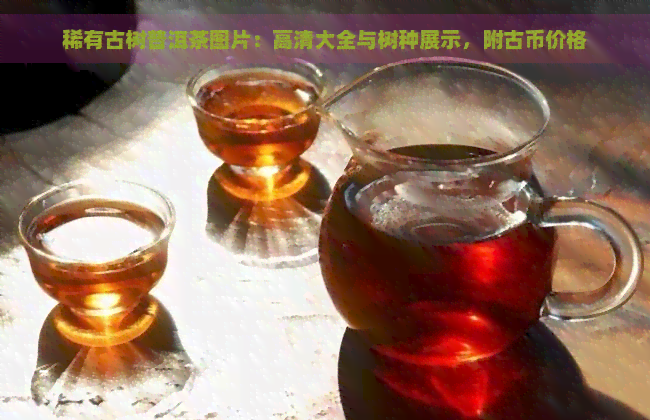 稀有古树普洱茶图片：高清大全与树种展示，附古币价格