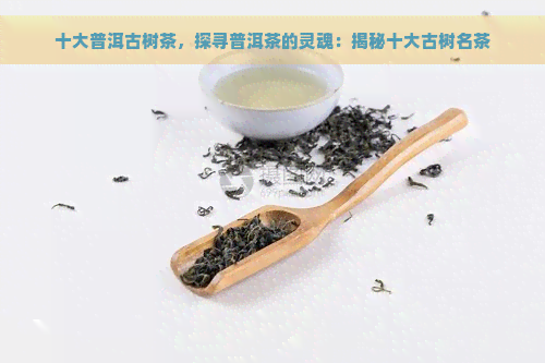 十大普洱古树茶，探寻普洱茶的灵魂：揭秘十大古树名茶