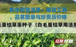 乾年间普洱茶：喝茶工具、品茗图录与珍贵历价格一览