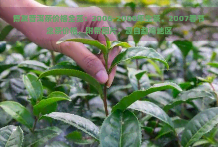 博友普洱茶价格全览：2006-2008年生茶、2007春节念茶价格，附带图片，源自勐海地区