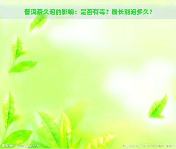 普洱茶久泡的影响：是否有？最长能泡多久？