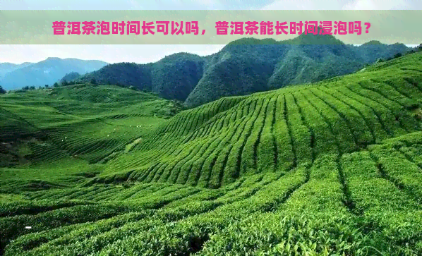 普洱茶泡时间长可以吗，普洱茶能长时间浸泡吗？