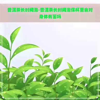 普洱茶长时间泡-普洱茶长时间泡保杯里会对身体有害吗