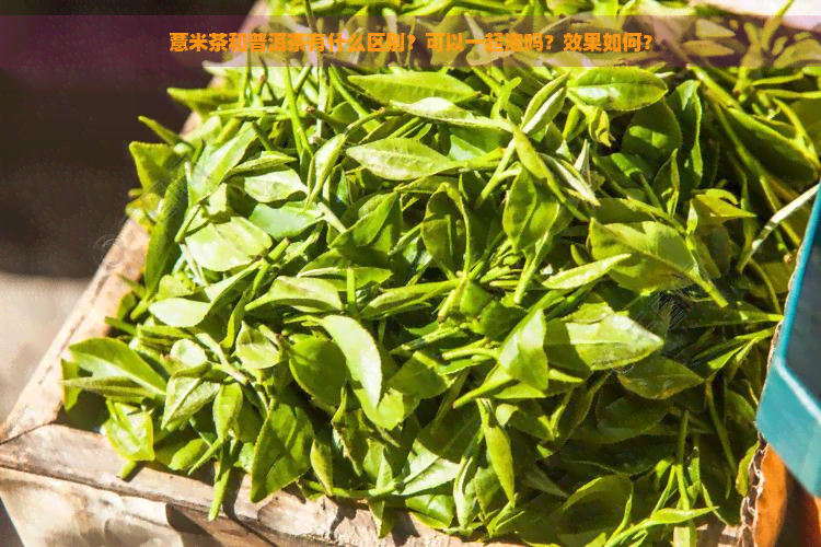 薏米茶和普洱茶有什么区别？可以一起泡吗？效果如何？