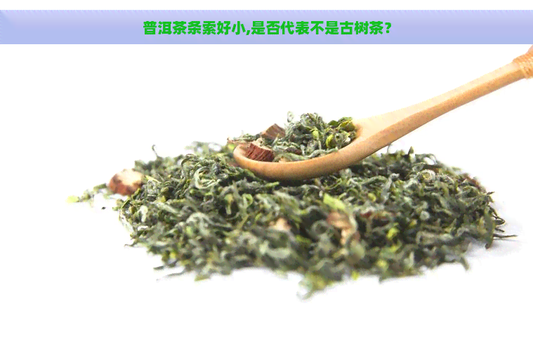 普洱茶条索好小,是否代表不是古树茶？