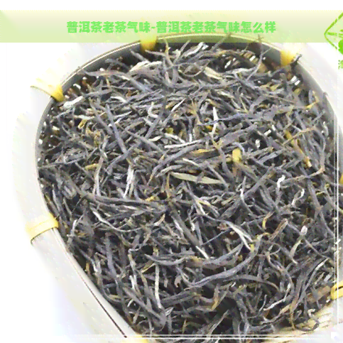 普洱茶老茶气味-普洱茶老茶气味怎么样