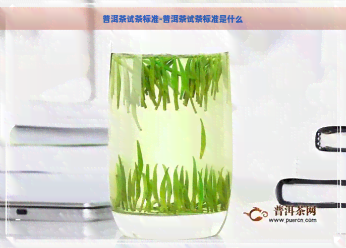 普洱茶试茶标准-普洱茶试茶标准是什么