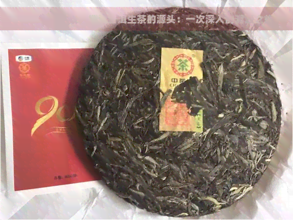 溯源普洱生茶，探索普洱生茶的源头：一次深入的溯源之旅