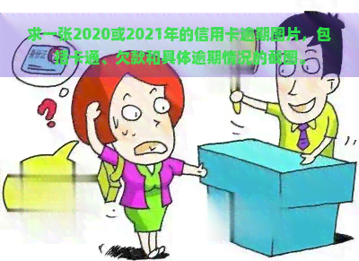 求一张2020或2021年的信用卡逾期图片，包括卡通、欠款和具体逾期情况的截图。