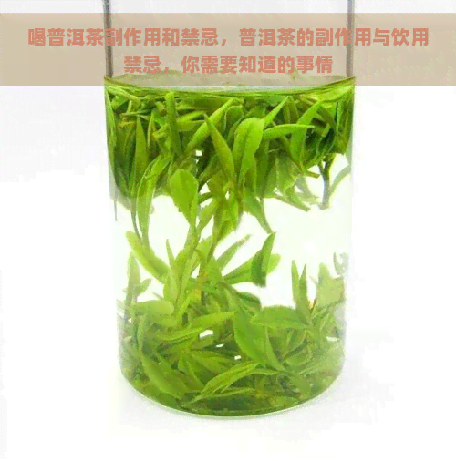 喝普洱茶副作用和禁忌，普洱茶的副作用与饮用禁忌，你需要知道的事情