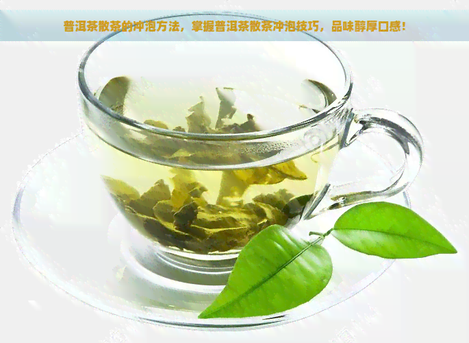 普洱茶散茶的冲泡方法，掌握普洱茶散茶冲泡技巧，品味醇厚口感！