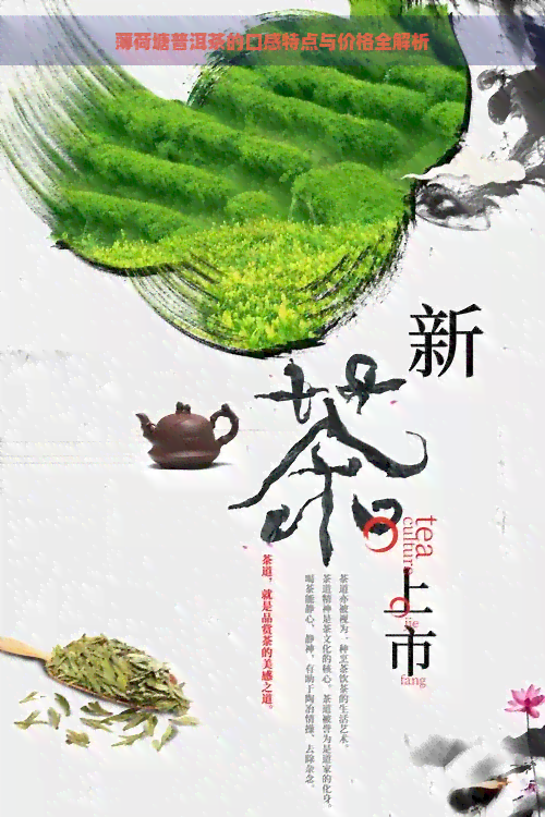 薄荷塘普洱茶的口感特点与价格全解析