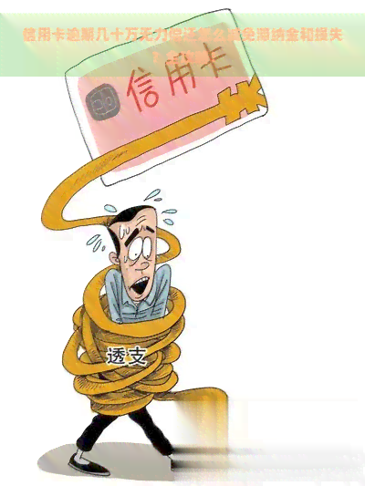 信用卡逾期几十万无力偿还怎么减免滞纳金和损失？全攻略！