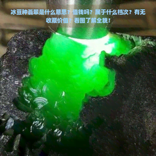 冰豆种翡翠是什么意思？值钱吗？属于什么档次？有无收藏价值？看图了解全貌！