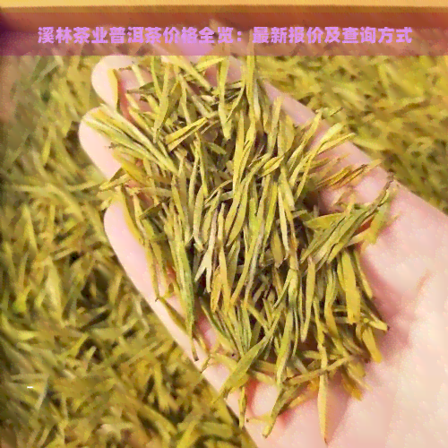 溪林茶业普洱茶价格全览：最新报价及查询方式