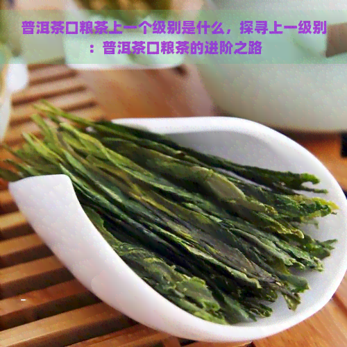 普洱茶口粮茶上一个级别是什么，探寻上一级别：普洱茶口粮茶的进阶之路