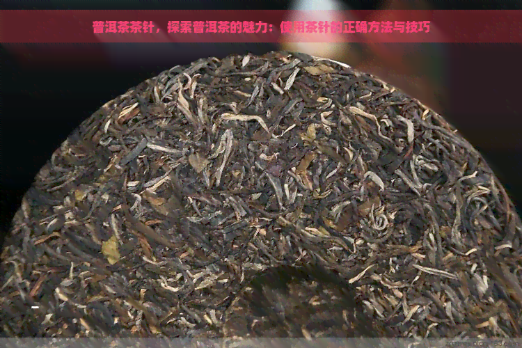 普洱茶茶针，探索普洱茶的魅力：使用茶针的正确方法与技巧