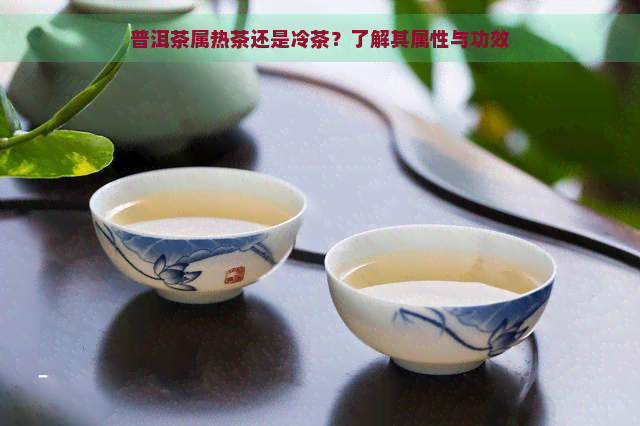 普洱茶属热茶还是冷茶？了解其属性与功效