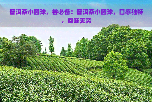 普洱茶小圆球，尝必备！普洱茶小圆球，口感独特，回味无穷