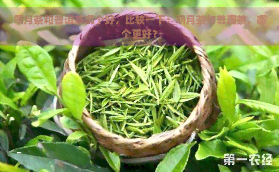 明月茶和普洱茶哪个好，比较一下：明月茶与普洱茶，哪个更好？