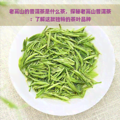 老高山的普洱茶是什么茶，探秘老高山普洱茶：了解这款独特的茶叶品种