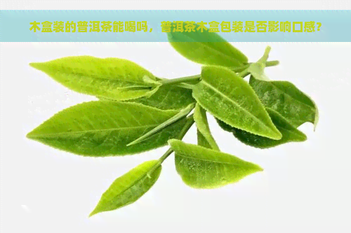 木盒装的普洱茶能喝吗，普洱茶木盒包装是否影响口感？