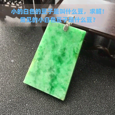 小的白色的豆子是叫什么豆，求解！常见的小白色豆子是什么豆？