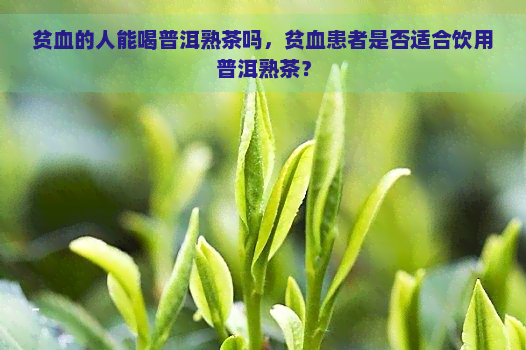 贫血的人能喝普洱熟茶吗，贫血患者是否适合饮用普洱熟茶？