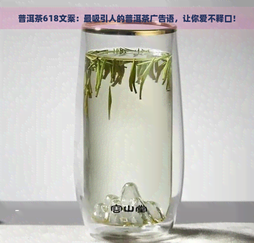 普洱茶618文案：最吸引人的普洱茶广告语，让你爱不释口！