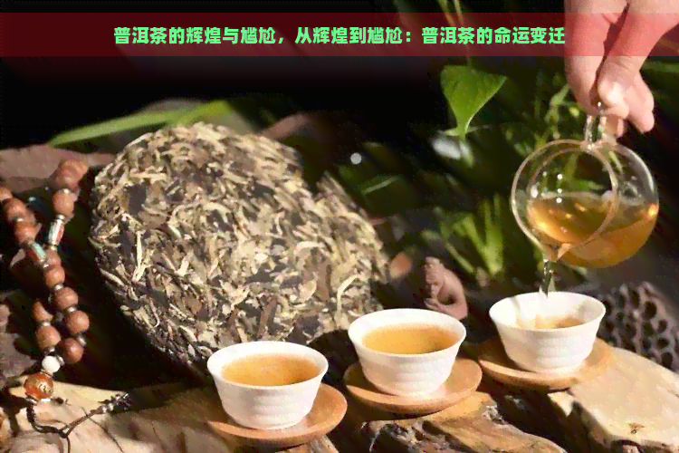 普洱茶的辉煌与尴尬，从辉煌到尴尬：普洱茶的命运变迁