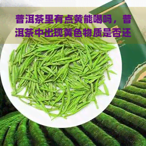 普洱茶里有点黄能喝吗，普洱茶中出现黄色物质是否还能饮用？