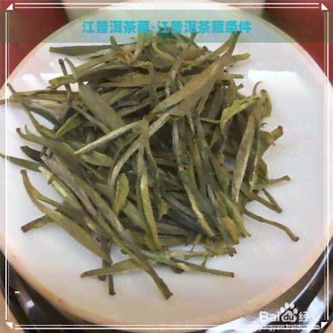 江普洱茶藏-江普洱茶藏条件