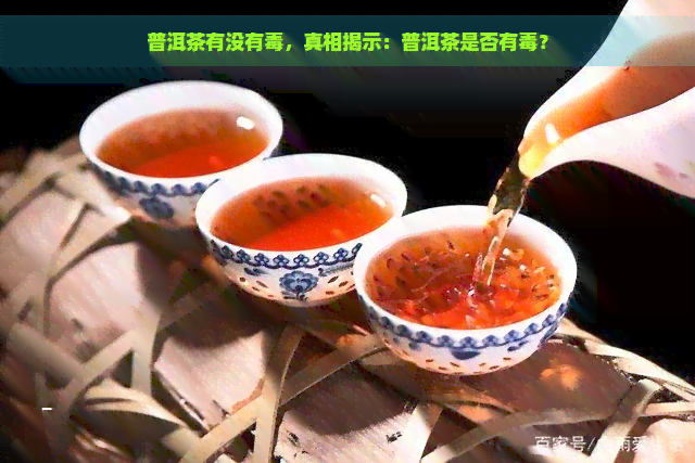 普洱茶有没有，真相揭示：普洱茶是否有？