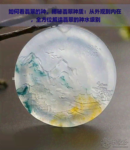 如何看翡翠的种，揭秘翡翠种质：从外观到内在，全方位解读翡翠的种水级别