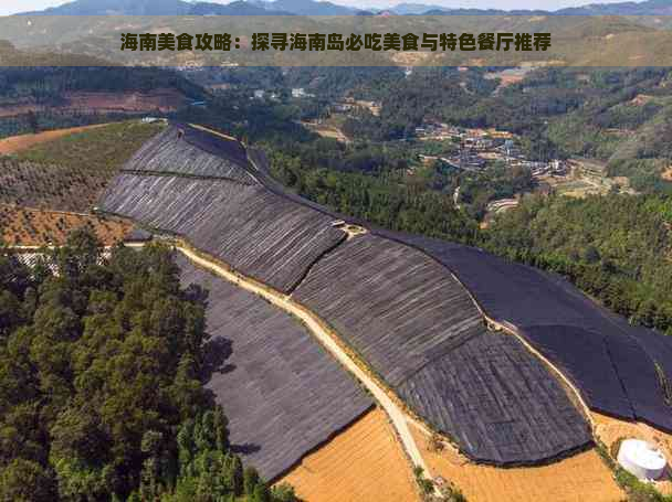 海南美食攻略：探寻海南岛必吃美食与特色餐厅推荐