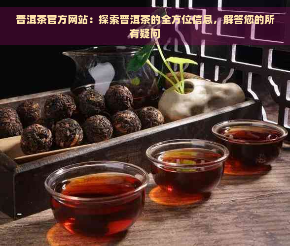 普洱茶官方网站：探索普洱茶的全方位信息，解答您的所有疑问