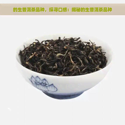 的生普洱茶品种，探寻口感：揭秘的生普洱茶品种