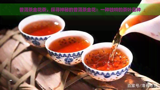 普洱茶金花茶，探寻神秘的普洱茶金花：一种独特的茶叶品种