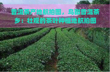 普洱茶产地航拍图，鸟瞰普洱茶乡：壮观的茶叶种植地航拍图