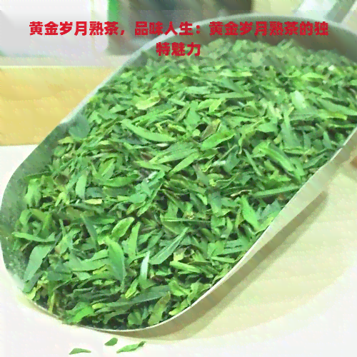 黄金岁月熟茶，品味人生：黄金岁月熟茶的独特魅力