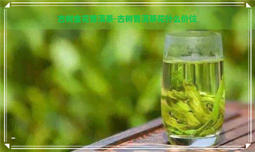 古树金花普洱茶-古树普洱茶花什么价位