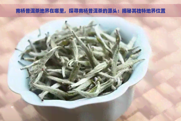 南桥普洱茶地界在哪里，探寻南桥普洱茶的源头：揭秘其独特地界位置