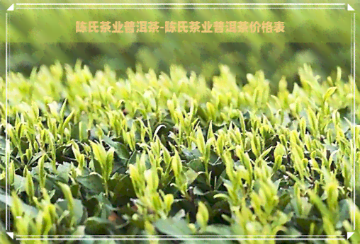 陈氏茶业普洱茶-陈氏茶业普洱茶价格表