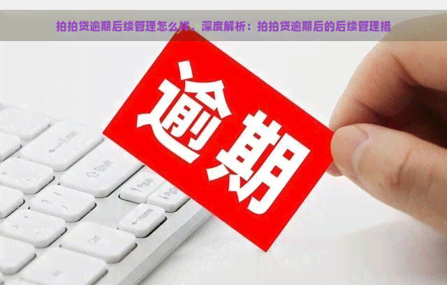 逾期后续管理怎么样，深度解析：逾期后的后续管理措