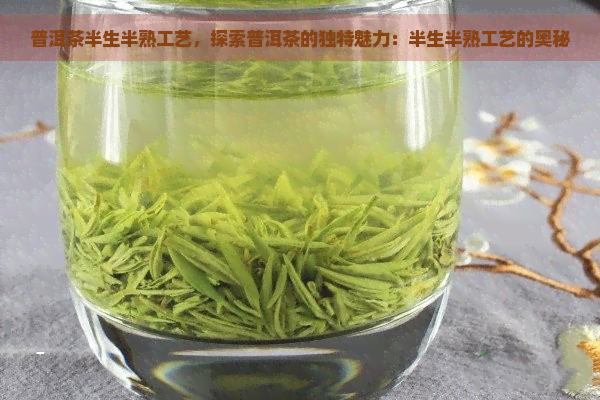 普洱茶半生半熟工艺，探索普洱茶的独特魅力：半生半熟工艺的奥秘