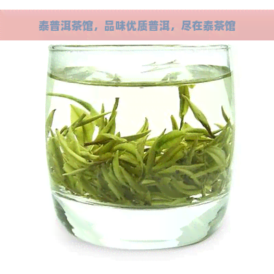 泰普洱茶馆，品味优质普洱，尽在泰茶馆